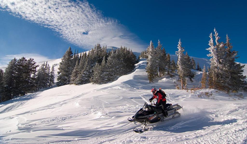Lily Mountain Lodge - Amazing Mountains Views, Private Hot Tub, Great Location Έστες Παρκ Εξωτερικό φωτογραφία